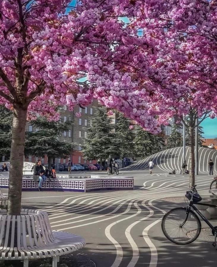 Apartment In Most Pop-Ular Area Norrebro Κοπεγχάγη Εξωτερικό φωτογραφία
